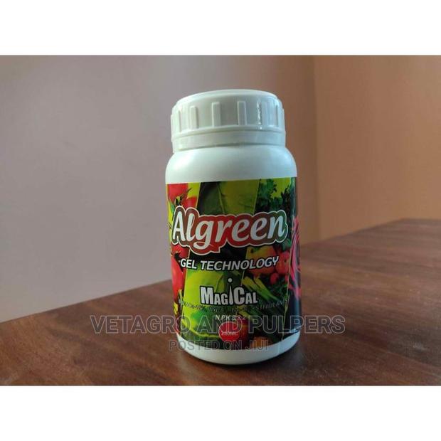 Algreen MAGICAL - thumbnail 3