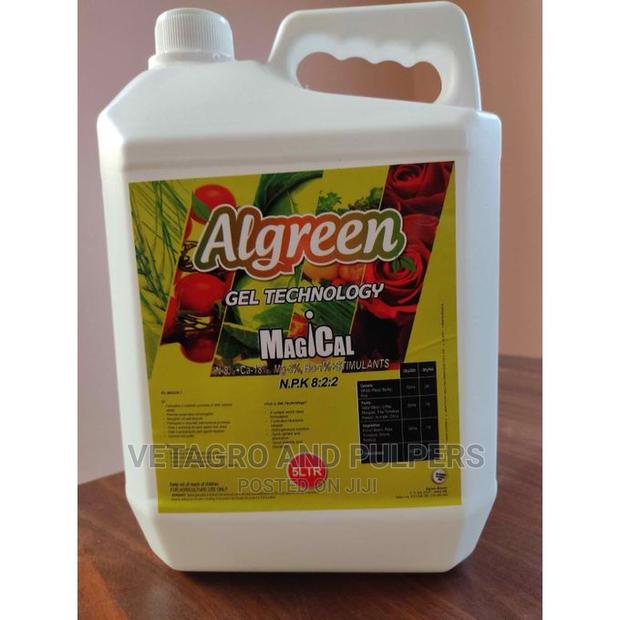 Algreen MAGICAL - thumbnail 4