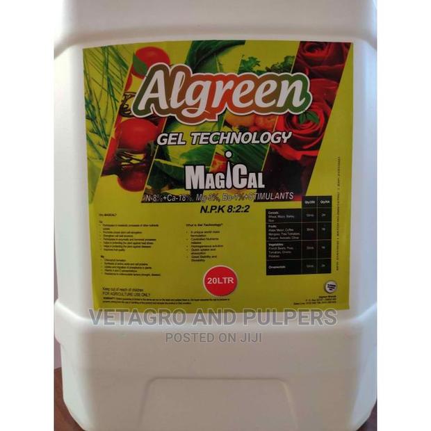 Algreen MAGICAL - thumbnail 6