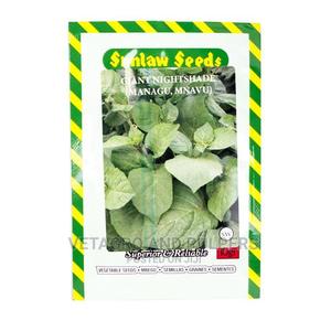 Giant Nightshade. (Managu) Seeds - main view