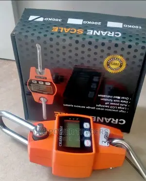 Data Lock Function 300kg Crane Scale