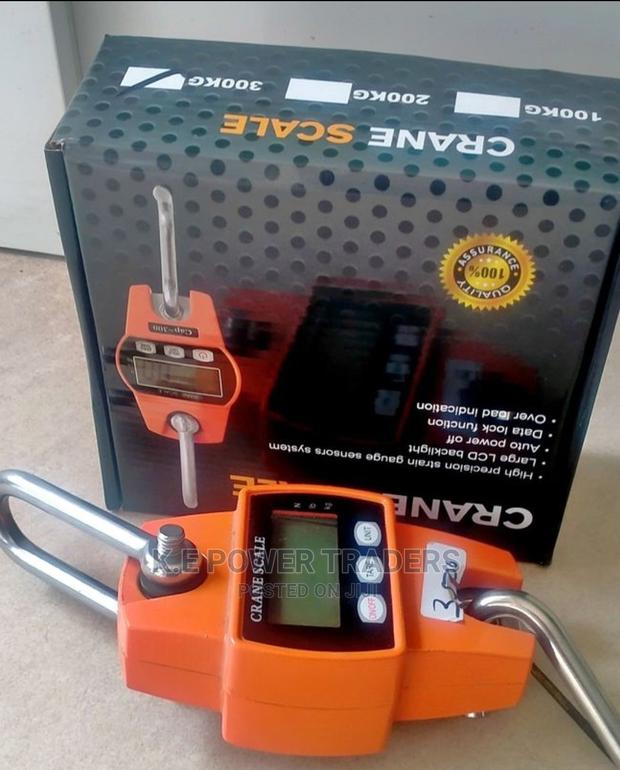 Data Lock Function 300kg Crane Scale - main view