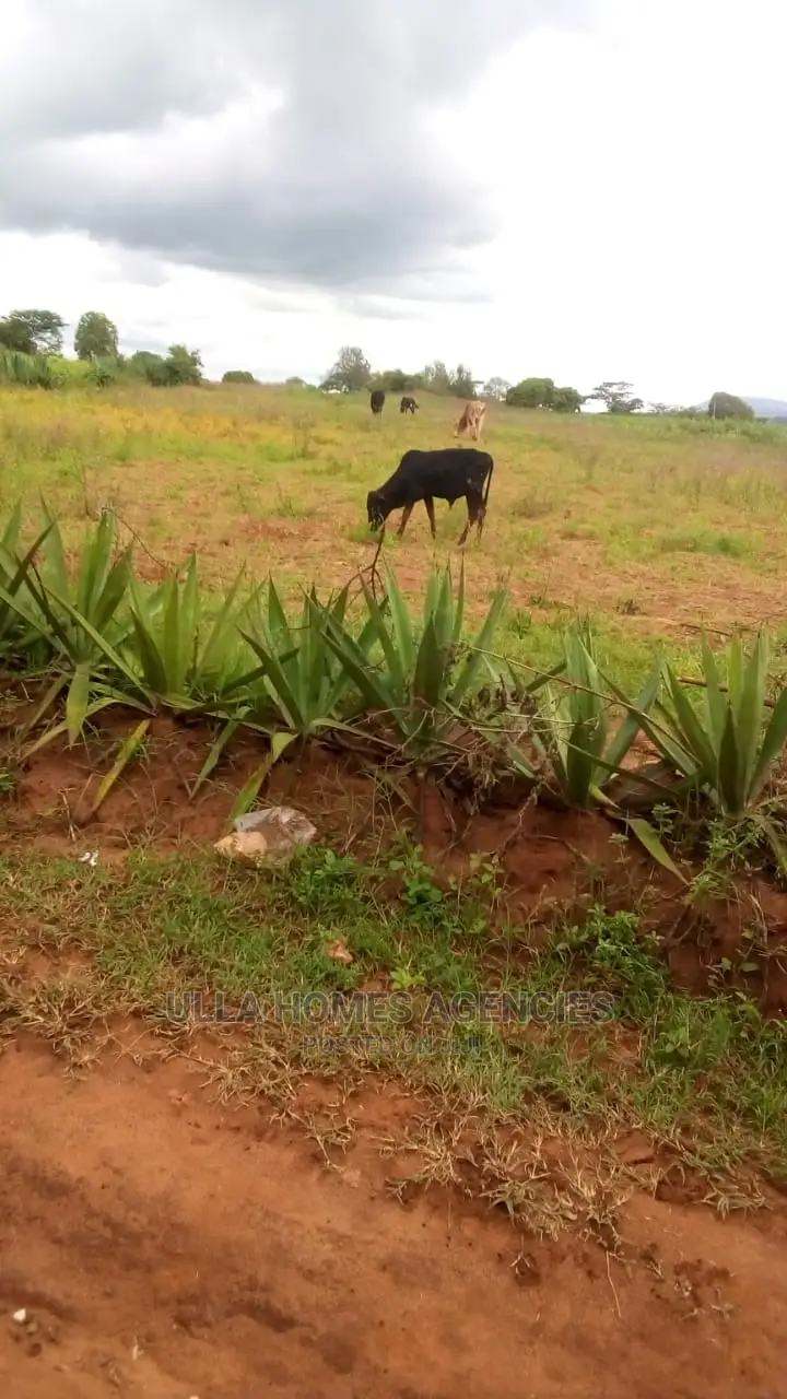 50 by 100 Plots at Konza,Tecno City,Red Soil