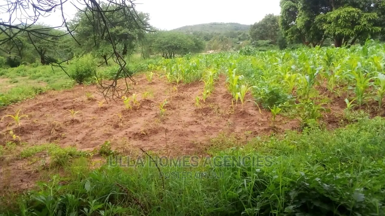 Kiundwani,Kimutwa Machakos,2 and Half Acres,2km From Tarmac