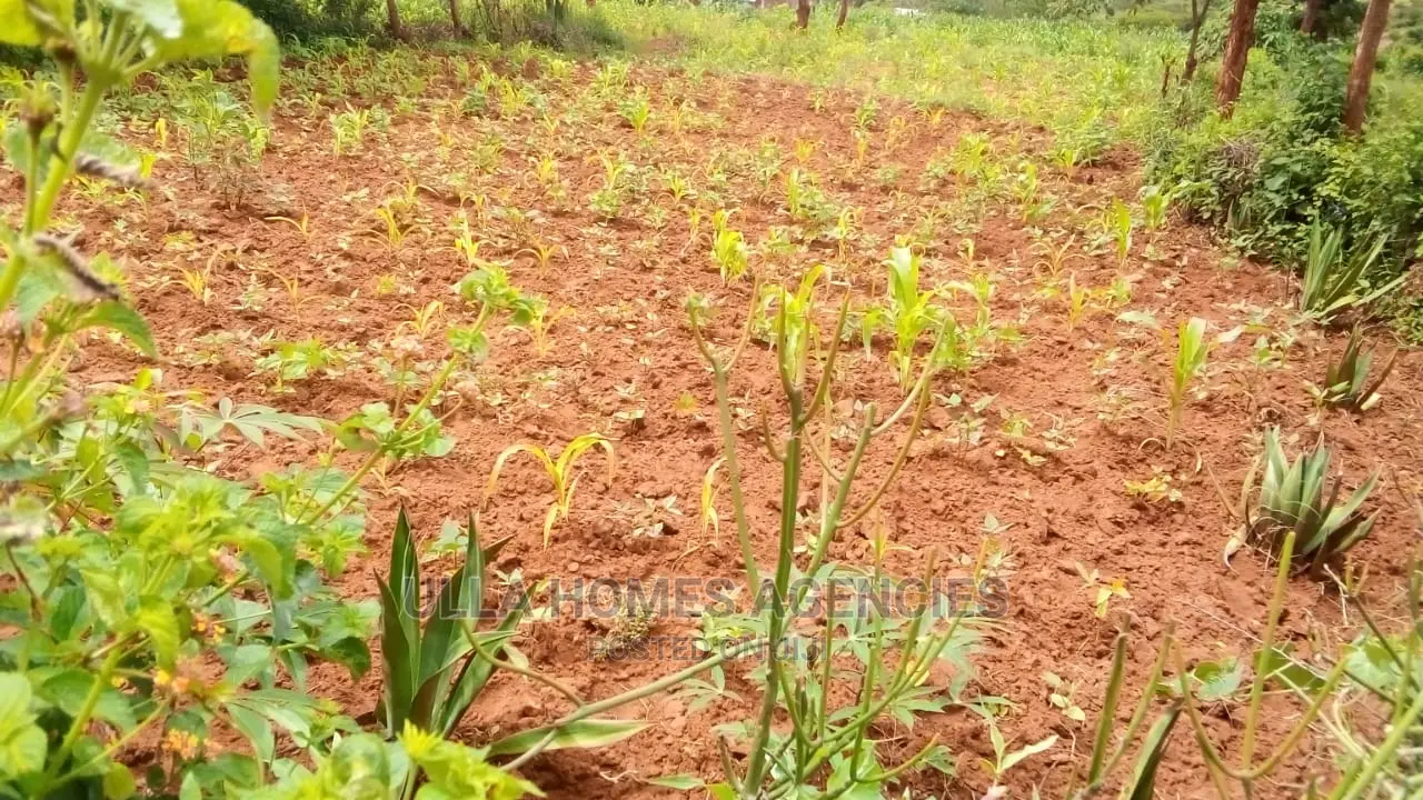 Kiundwani,Kimutwa Machakos,2 and Half Acres,2km From Tarmac