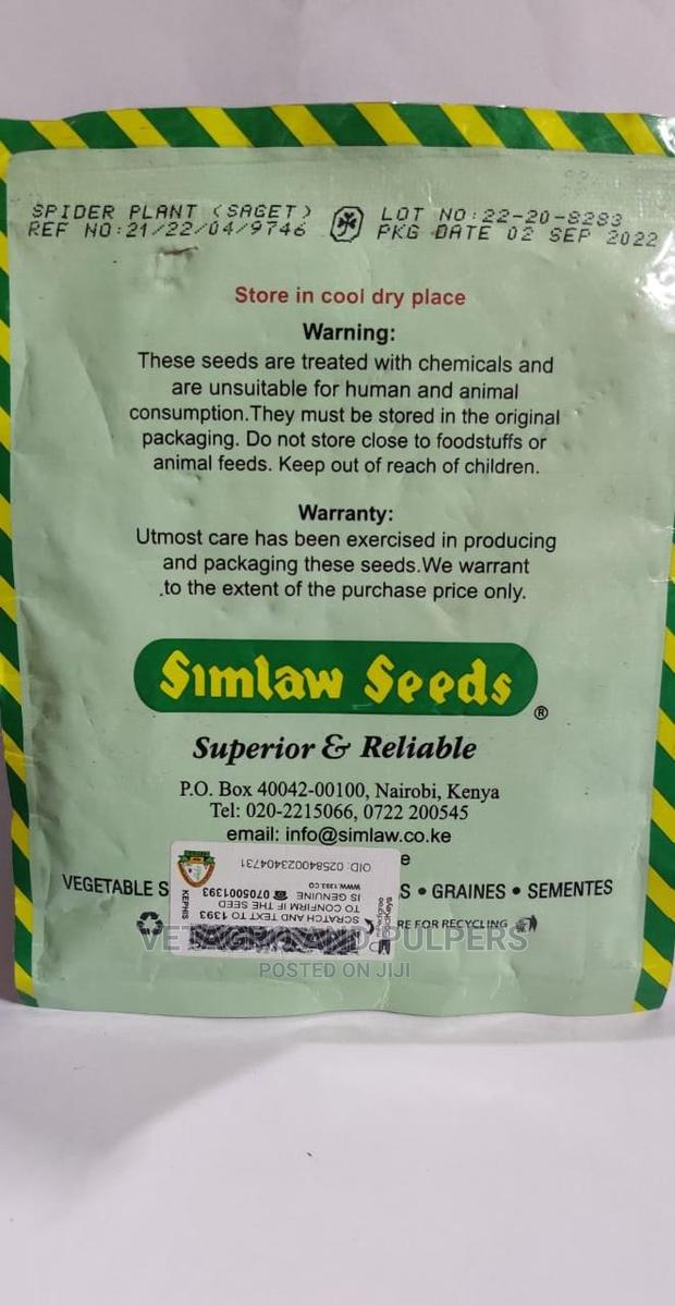 Spider Plant (Saget, Saga) Seeds - thumbnail 2