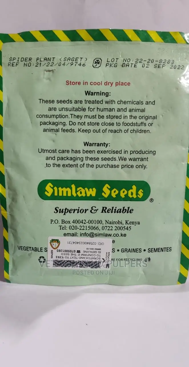 Spider Plant (Saget, Saga) Seeds