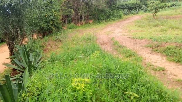 Quater Acre at ,Kimutwa,Machakos - thumbnail 2