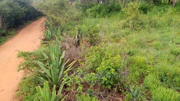 Quater Acre at ,Kimutwa,Machakos - thumbnail 4