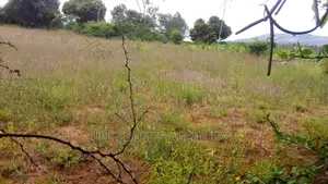 1 Acre at Maanzoni, After Sisu Hotel. 1km From Msa Road