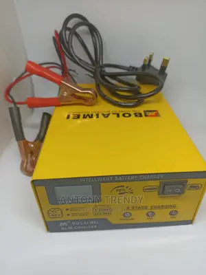 Bolaimei 12v/24v Intelligent Car Battery Fast Pulse Charger