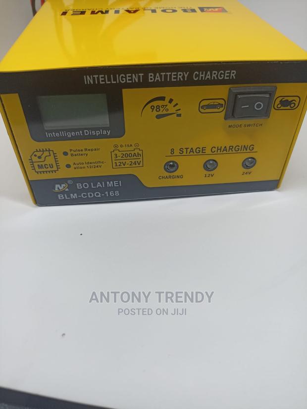 BOLAIMEI BLM-168 12v/24v Car Battery Charger