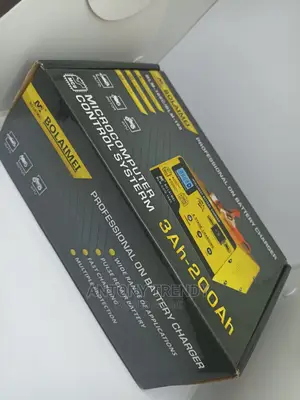 Pulse Repair Storage Cell AUTO Batterie 12v/24v Car Battery
