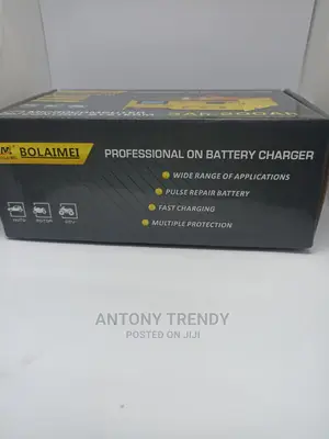Trendy BOLAIMEI BLM-168 12v/24v Car Battery Charger