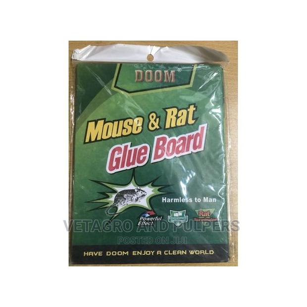 Mouse and Rat Glue Board - main view