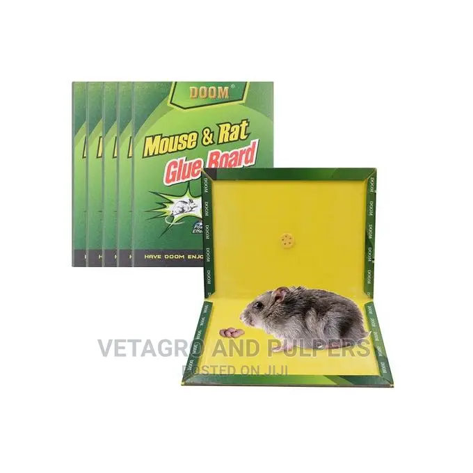 Mouse and Rat Glue Board