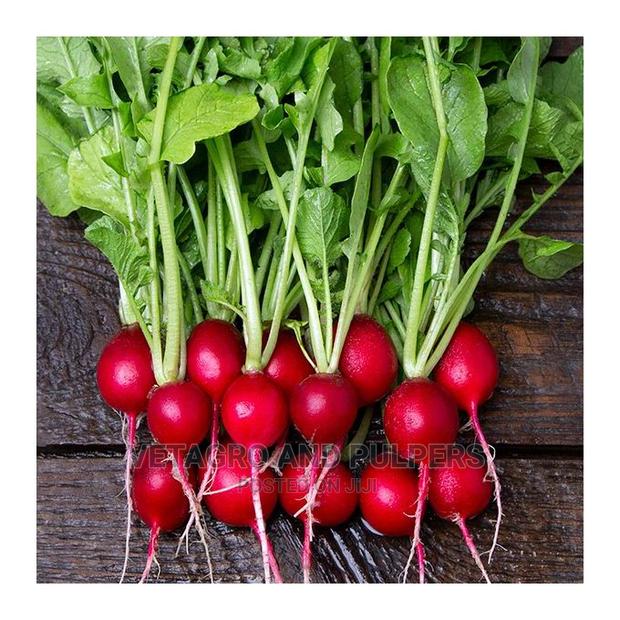 Radish Cherry Belle 10gm Seeds - thumbnail 3