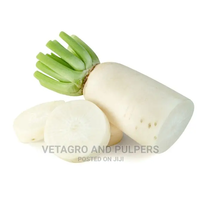 Radish Mino Early Long White Seeds 10gm