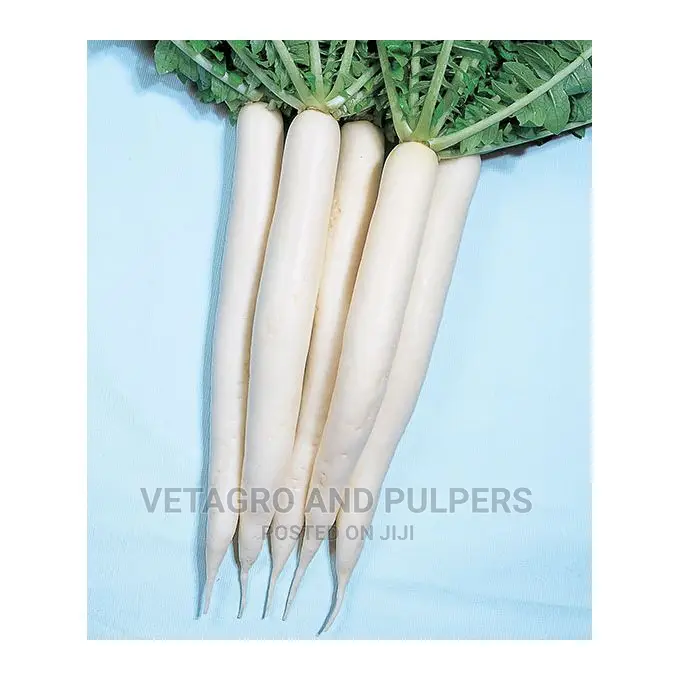 Radish Mino Early Long White Seeds 10gm