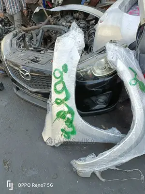 Ex Japan Fenders/Wings for Vanguard 2008 on Sale