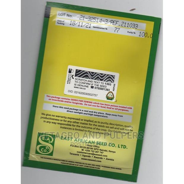 Parsley Dark Green Italian Seeds 10G - thumbnail 3