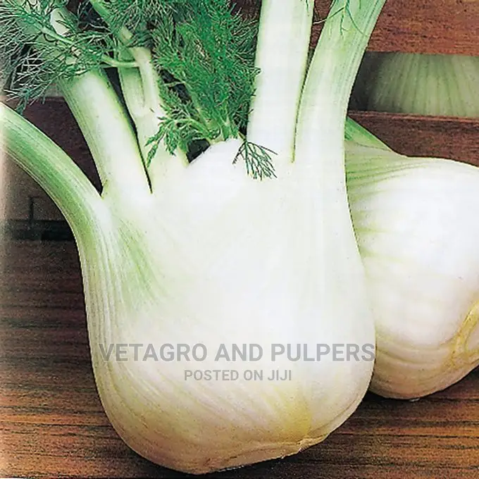 Fennel Romanesco Seeds 10gm