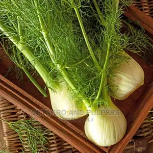Fennel Romanesco Seeds 10gm