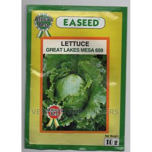 Lettuce Great Lakes Mesa 659 Seeds 10gm - main view