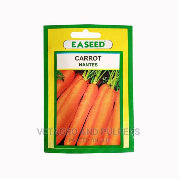 Carrot Nantes Seeds