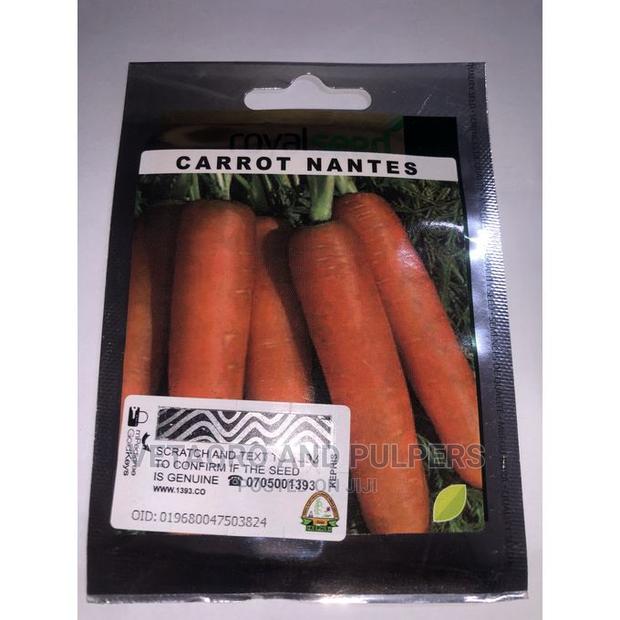 Carrot Nantes Seeds - thumbnail 2