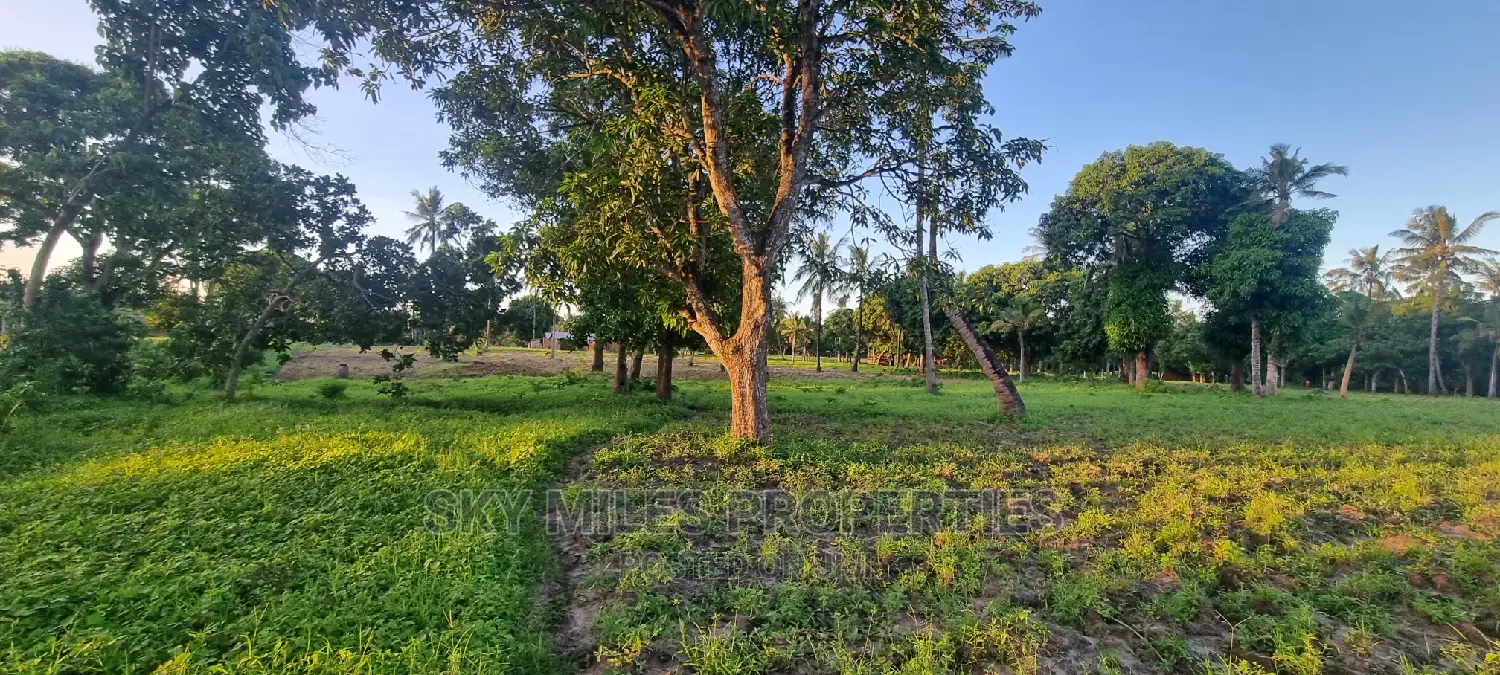 Creek Beach View Plots on Sale Mtwapa