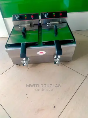Imported Caterina Double Fryer