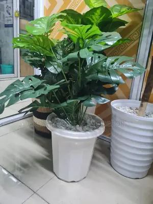 Artificial Plant With Vase Monstera Plant All Inclusive