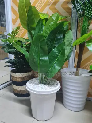 Artificial Indoor Banana Plant All Inclusive With Vase