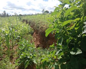 10 Acres at Konza,Old Mombasa Road,Second Row - thumbnail 4