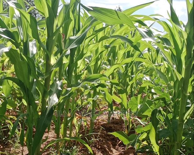 10 Acres at Konza,Old Mombasa Road,Second Row - thumbnail 2