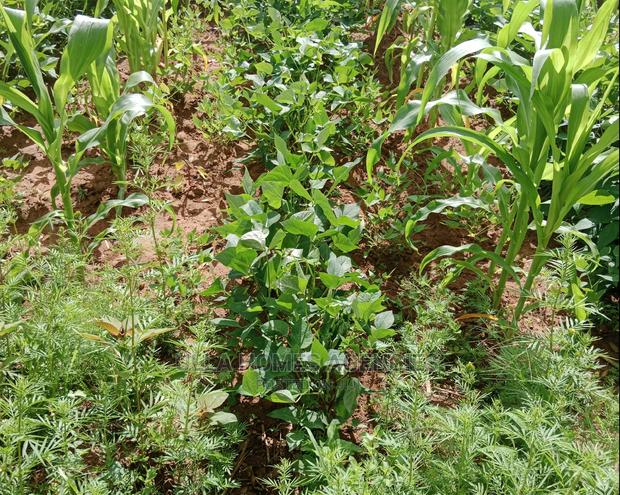 10 Acres at Konza,Old Mombasa Road,Second Row - thumbnail 5