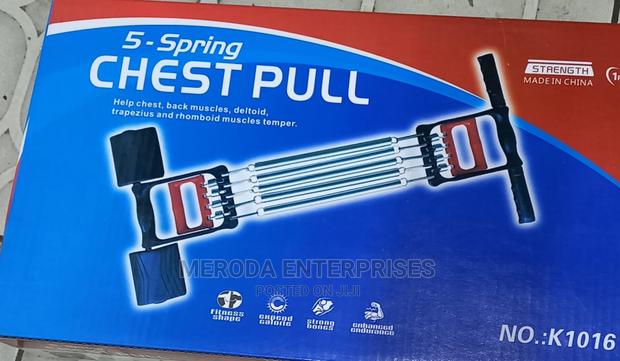 Chest Pull 3 in 1 5 Spring