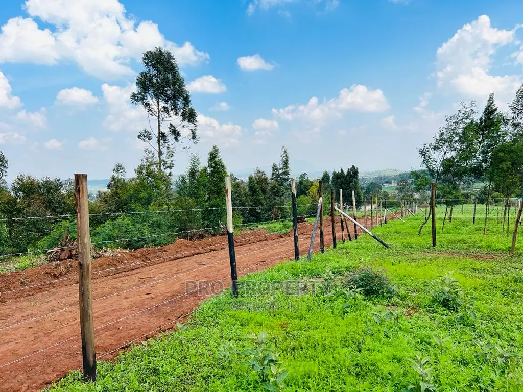 Prime 1/8 Acre Residential Plots for Sale in Kikuyu, Kamangu