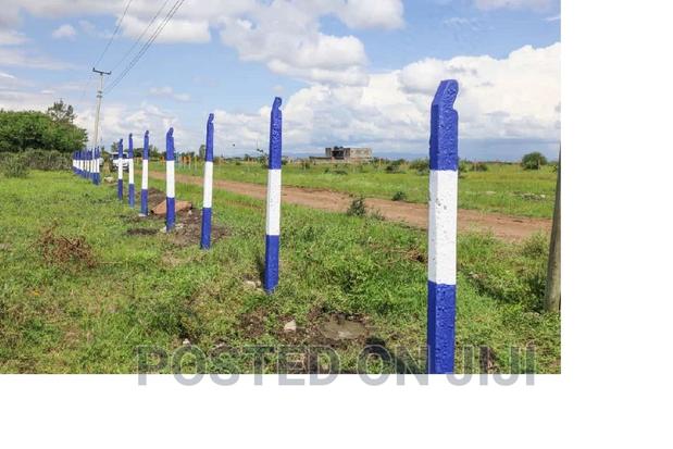 Quick Sale 1/8 Acre Plots Kamakis ^EW - main view