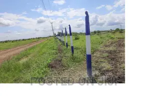Quick Sale 1/8 Acre Plots Kamakis ^EW
