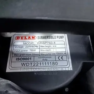 Delan Drainage Pump