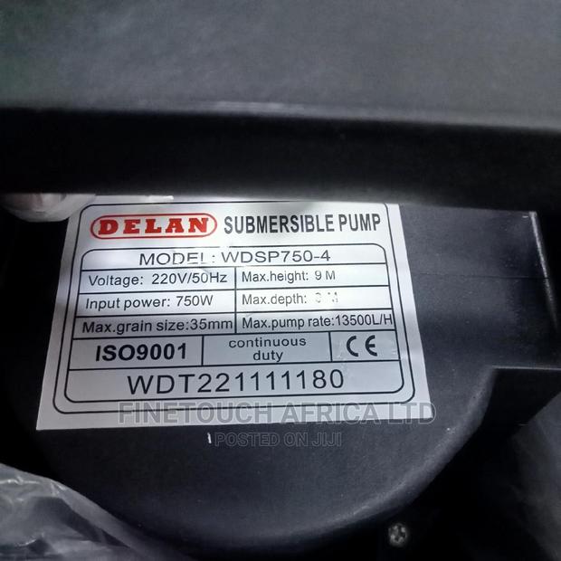 Delan Drainage Pump
