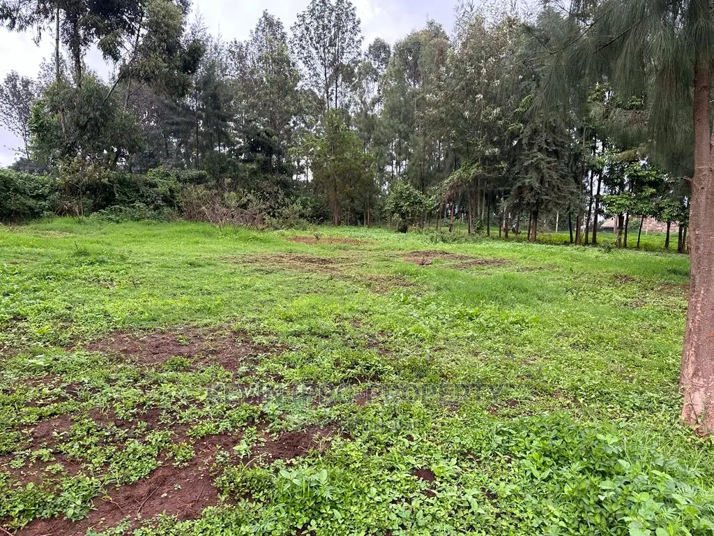 Prime Commercial Plot for Sale in Kikuyu Town.