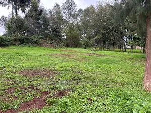 Prime Commercial Plot for Sale in Kikuyu Town.