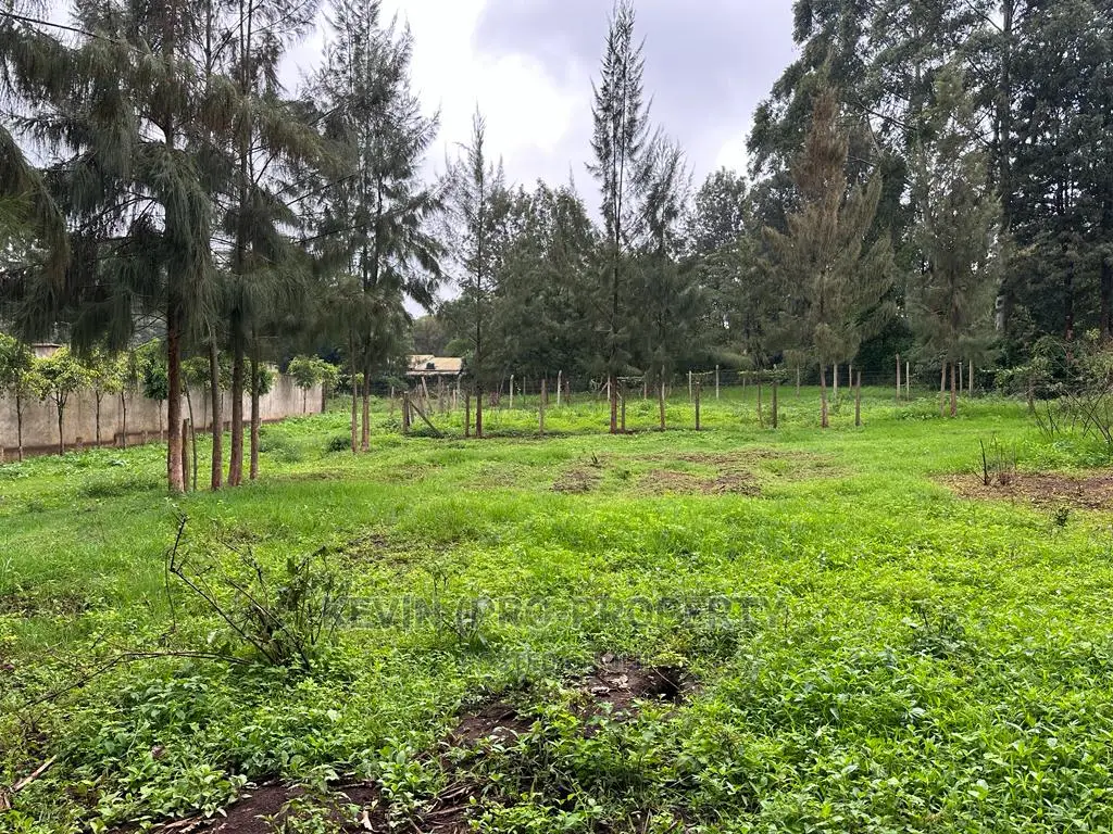 Prime Commercial Plot for Sale in Kikuyu Town.
