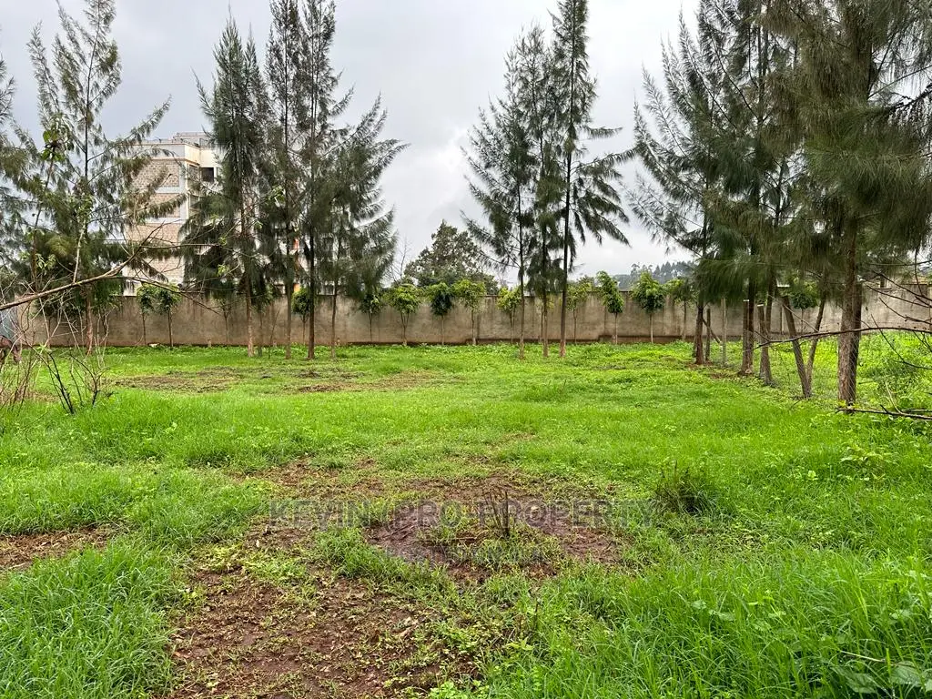 Prime Commercial Plot for Sale in Kikuyu Town.