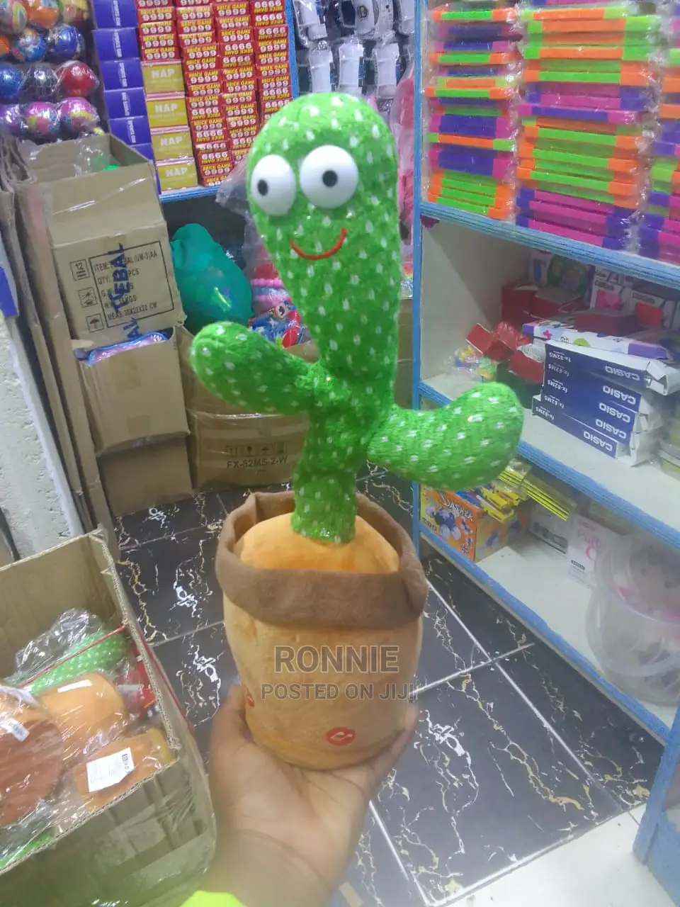 Dancing Cactus Talking Cactus Singing Cactus With Delivery