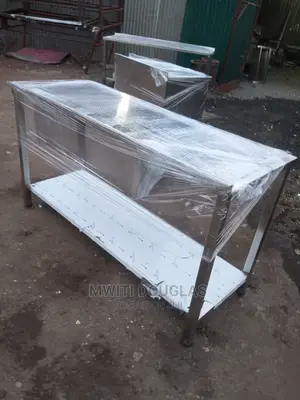 Stainless Steel Double Sink