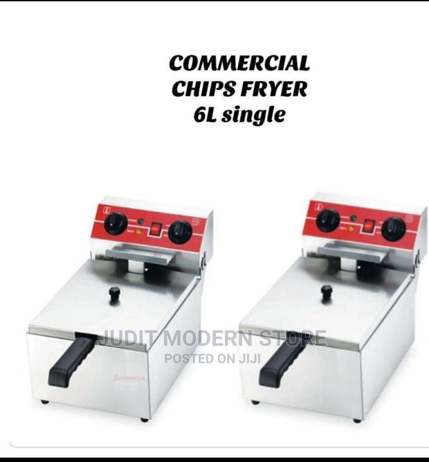Commercial Chips Fryer